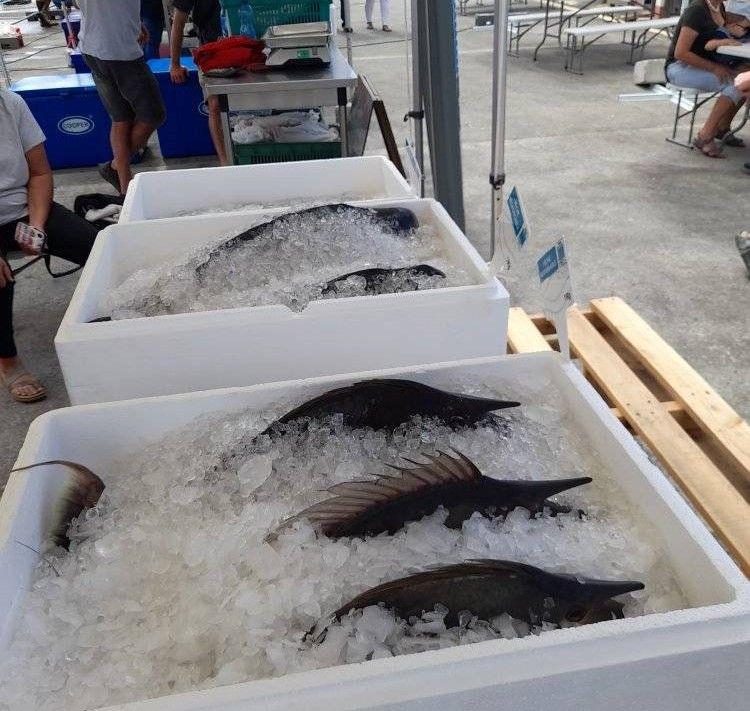 La pêche professionnelle largue les amarres à Nouville