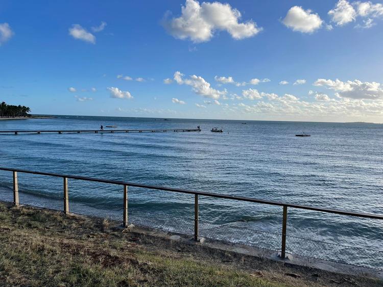 17 requins prélevés à Nouméa la semaine dernière