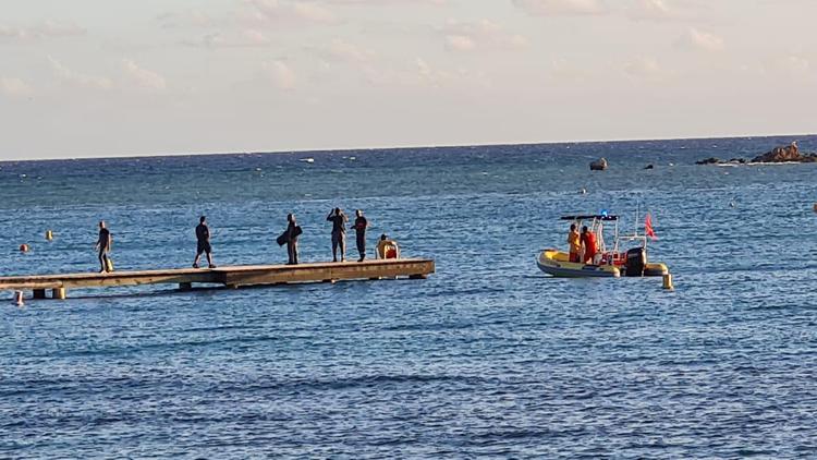 Le tribunal administratif annule les campagnes de prélèvement de requins à Nouméa
