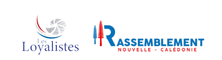 Les Loyalistes et le Rassemblement-LR  déposent un recours après les législatives