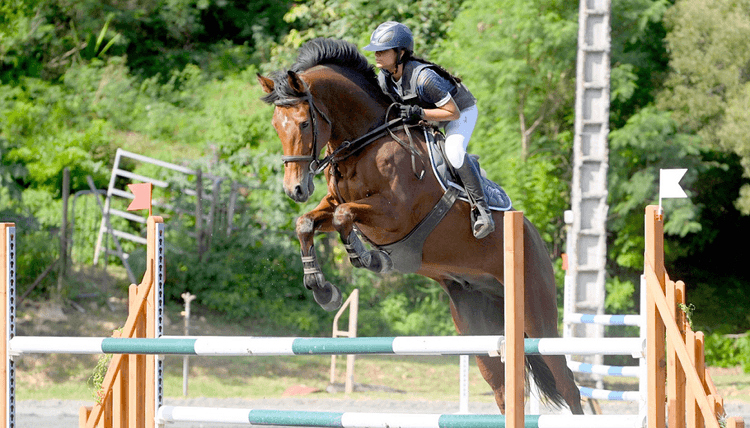 120 cavaliers à l'Etrier