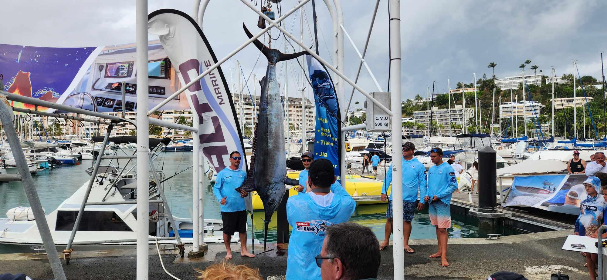 Un marlin de plus de 230kg sorti lors du dernier concours de pêche au gros de l'année