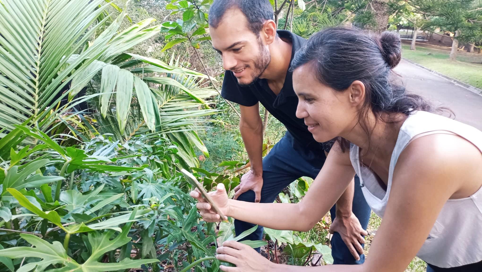 Sève. Une appli pour recenser les plantes endémiques du territoire