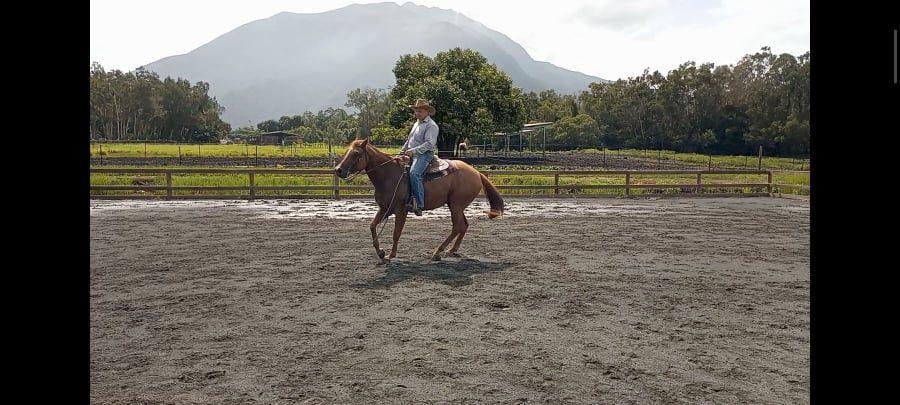 Tous à cheval, c'est terminé