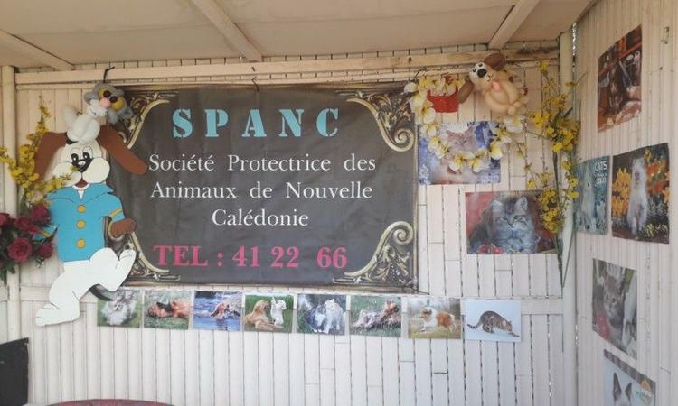Ambiance conviviale à la SPANC