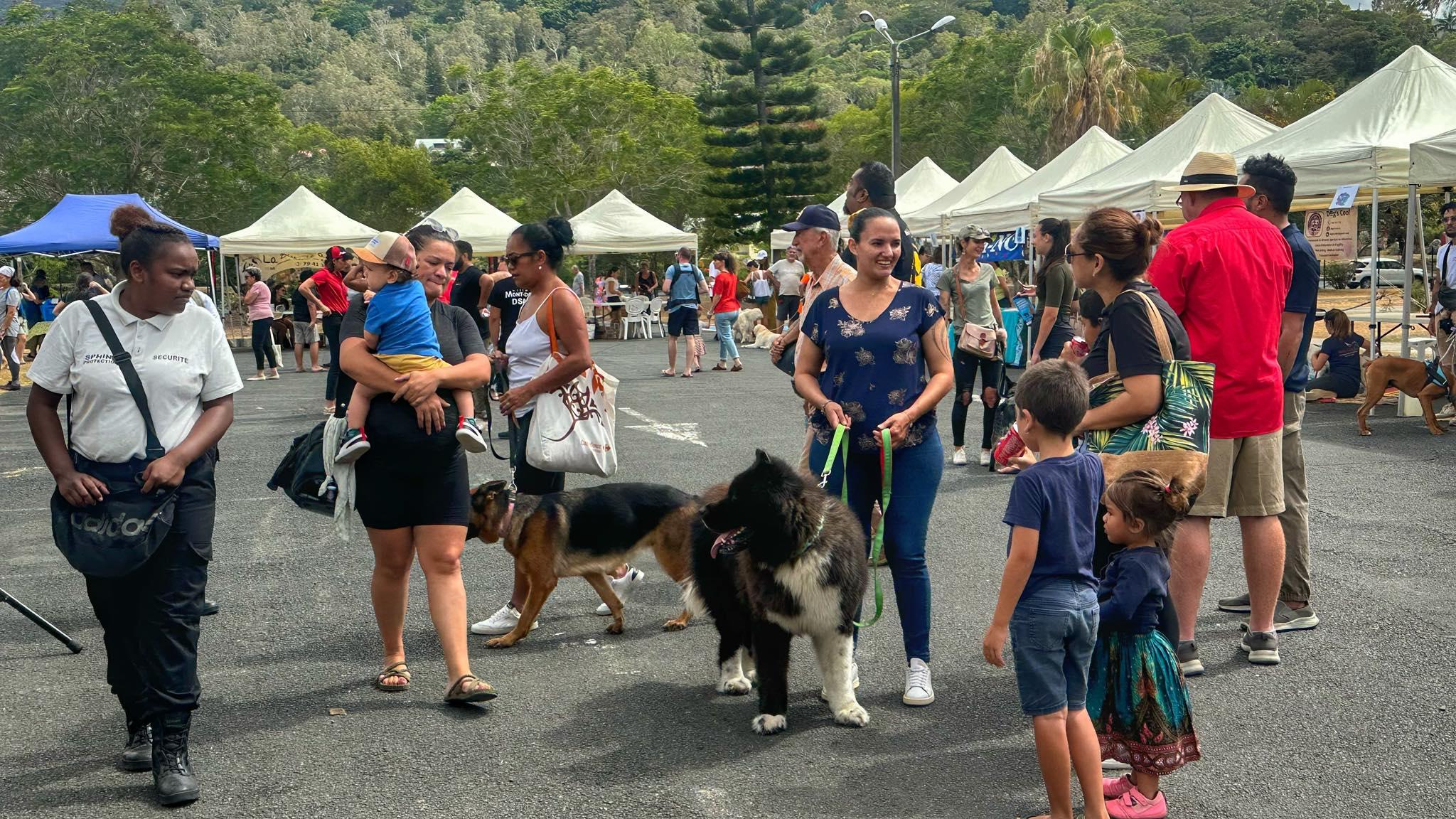 Le Mont-Dore organisait hier sa 2ème édition de la fête des animaux