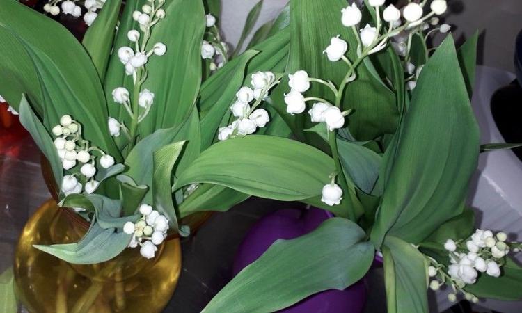 La chasse au muguet du 1er mai!