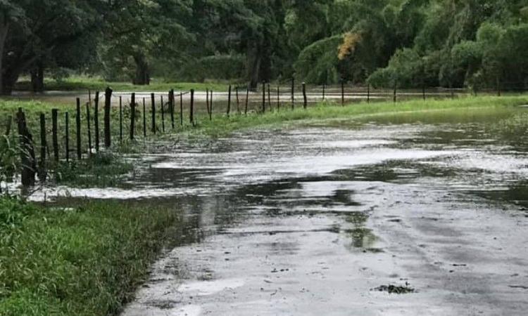 Trois arrêtés pour reconnaitre trois évènements comme calamité agricole