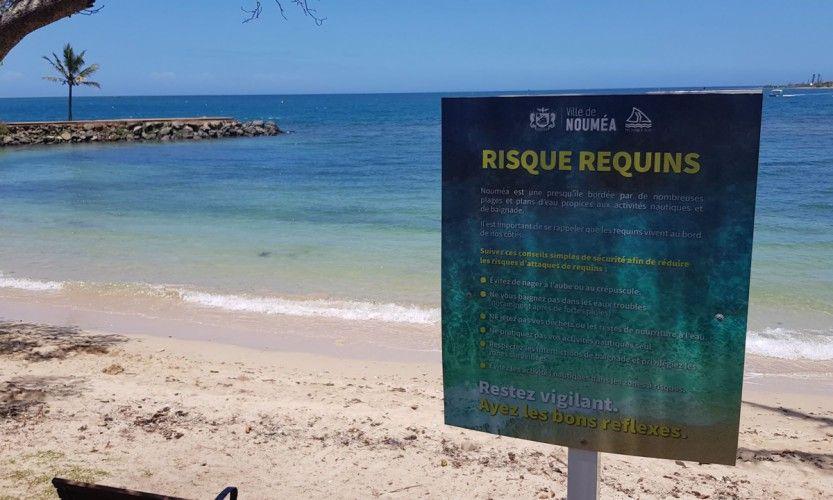 La baignade interdite à Nouméa jusqu’à la sécurisation des plages