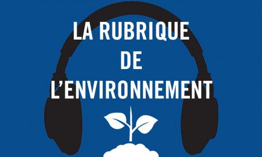 Un jardin partagé