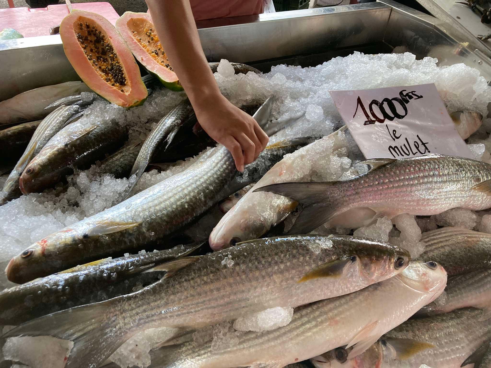 Le mulet au Grand marché broussard