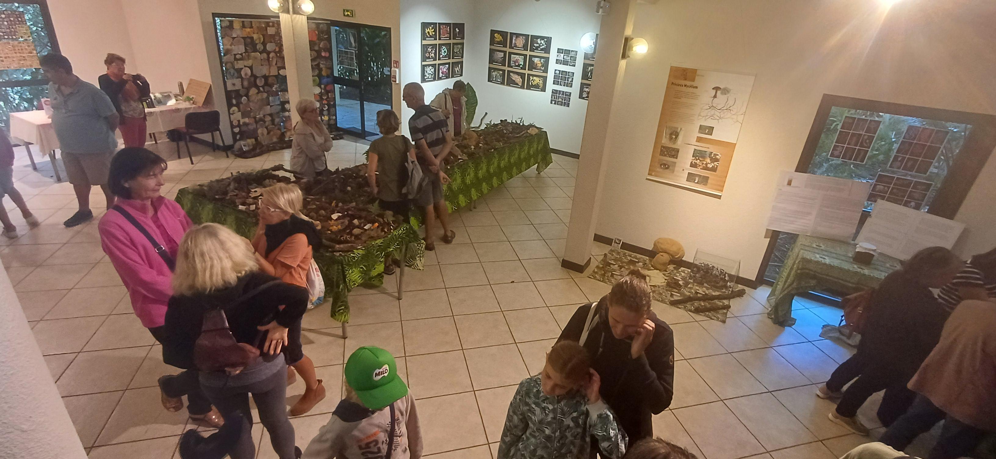 Exposition Champignons