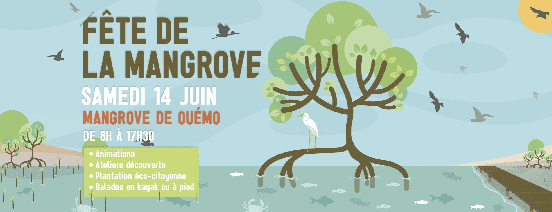 fête mangrove