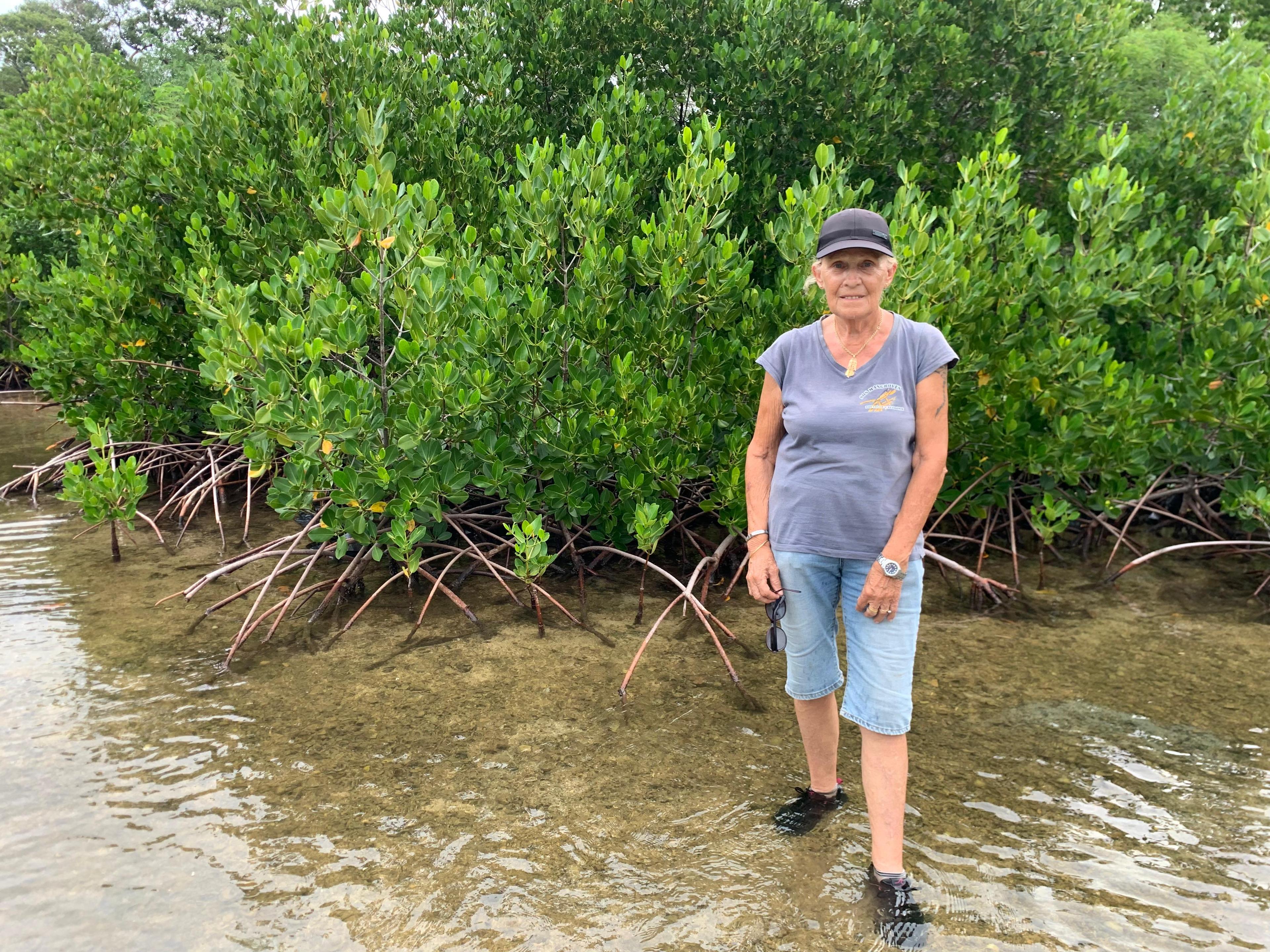 mangrove plage 1000.jpg