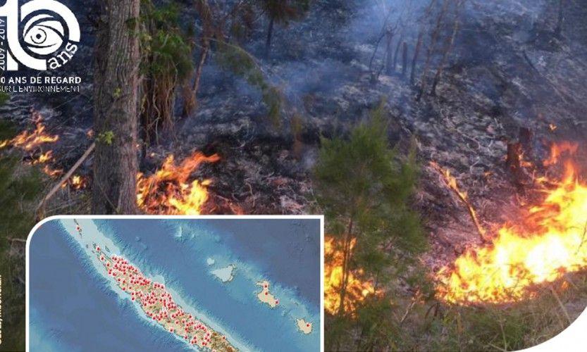 30 000Ha brulés en 2019, un record