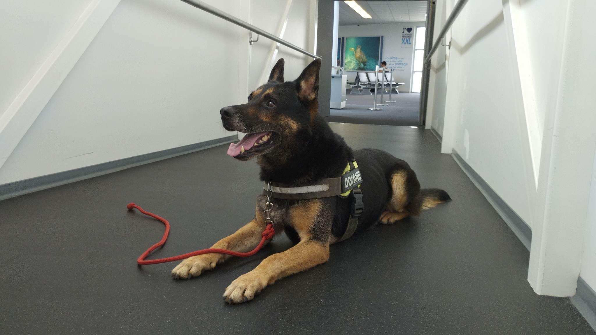 A la Tontouta, le renforcement des contrôles