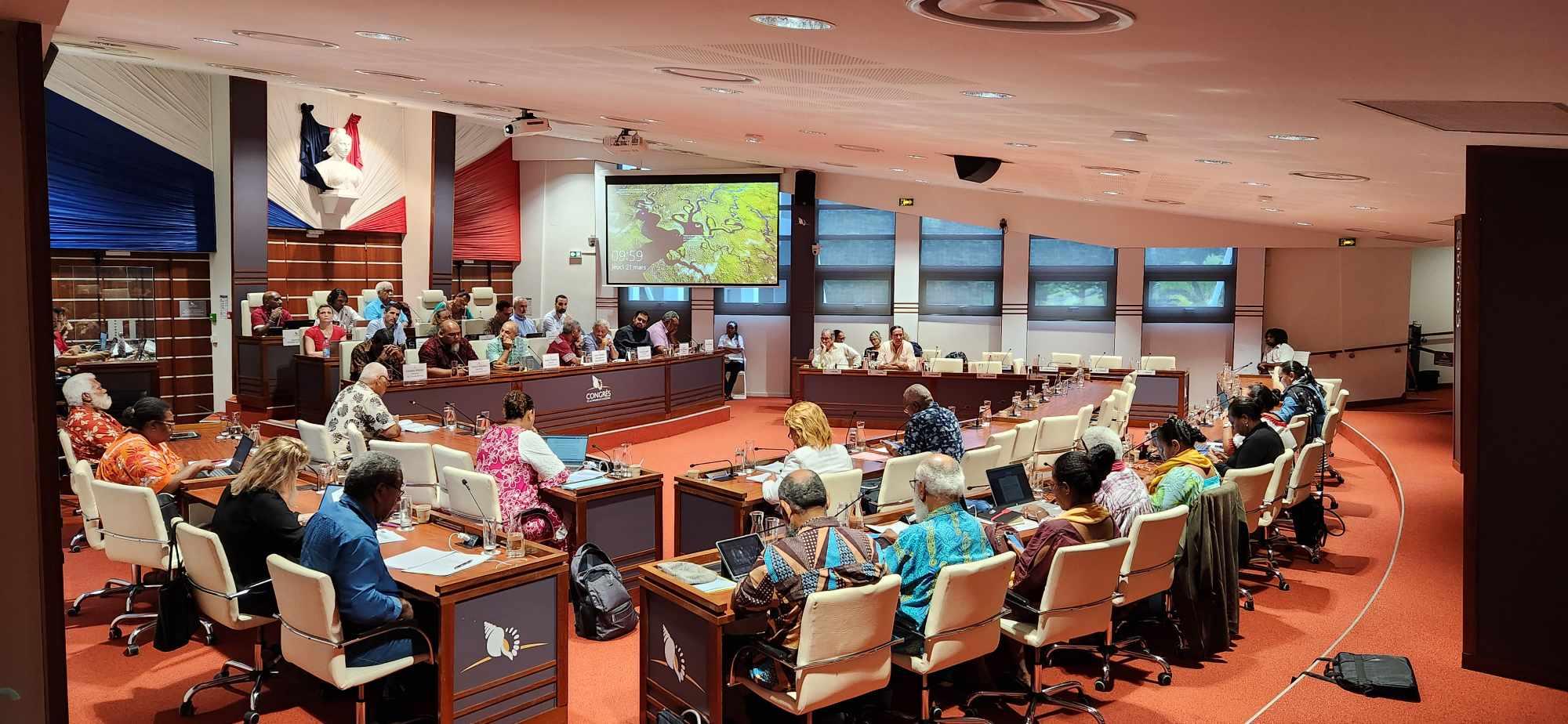 Congrès : Le Rassemblement et les Loyalistes quittent l'hémicycle