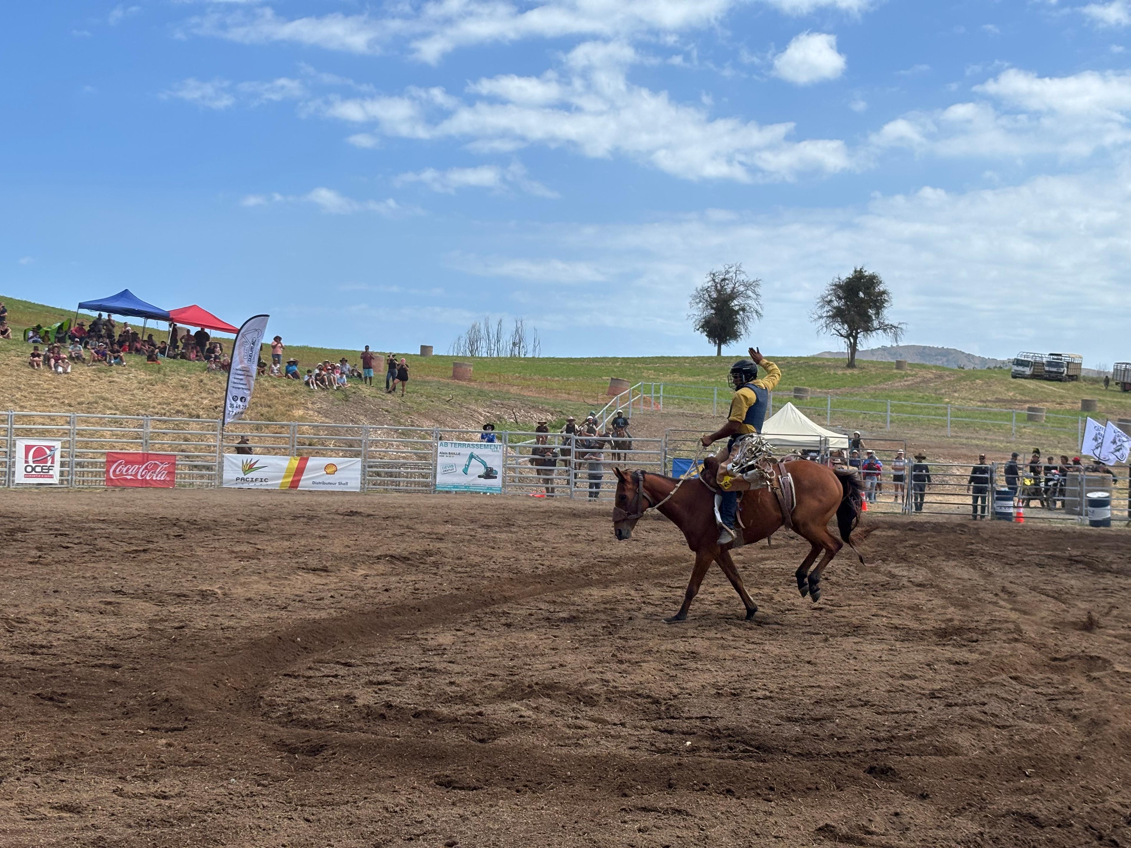 rodeo paita
