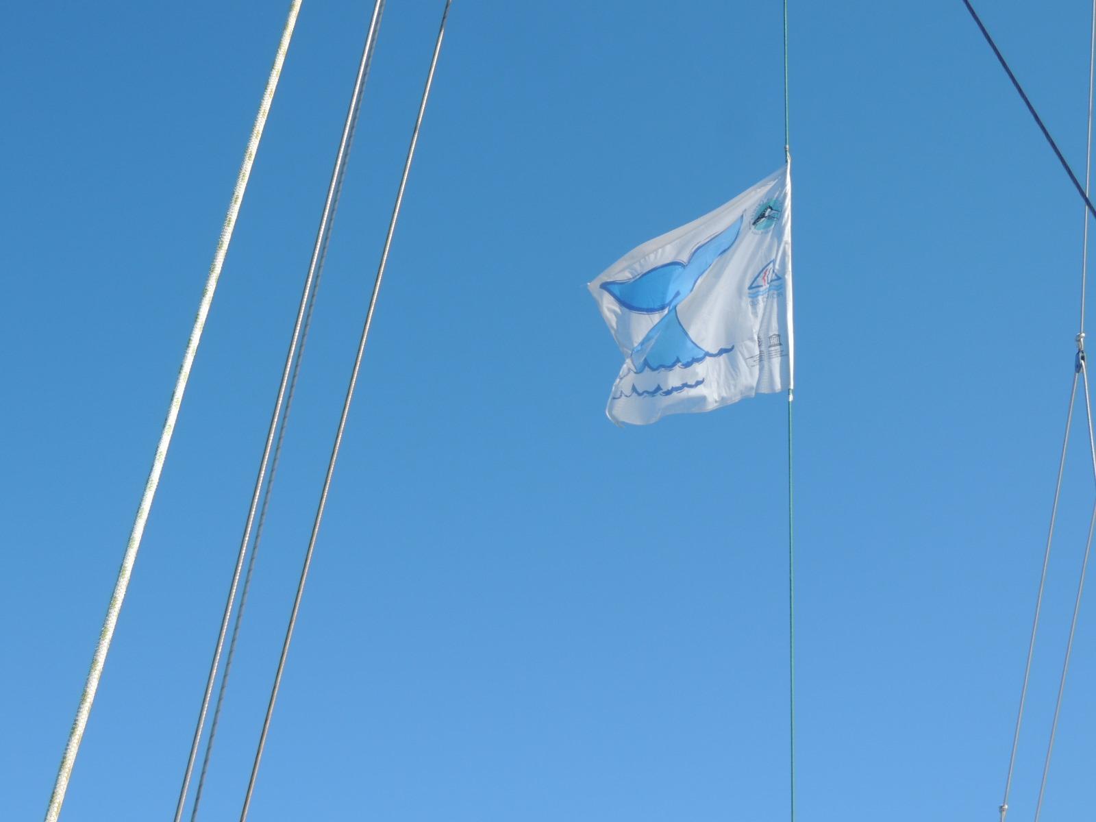 caledonia charter 2.jpeg