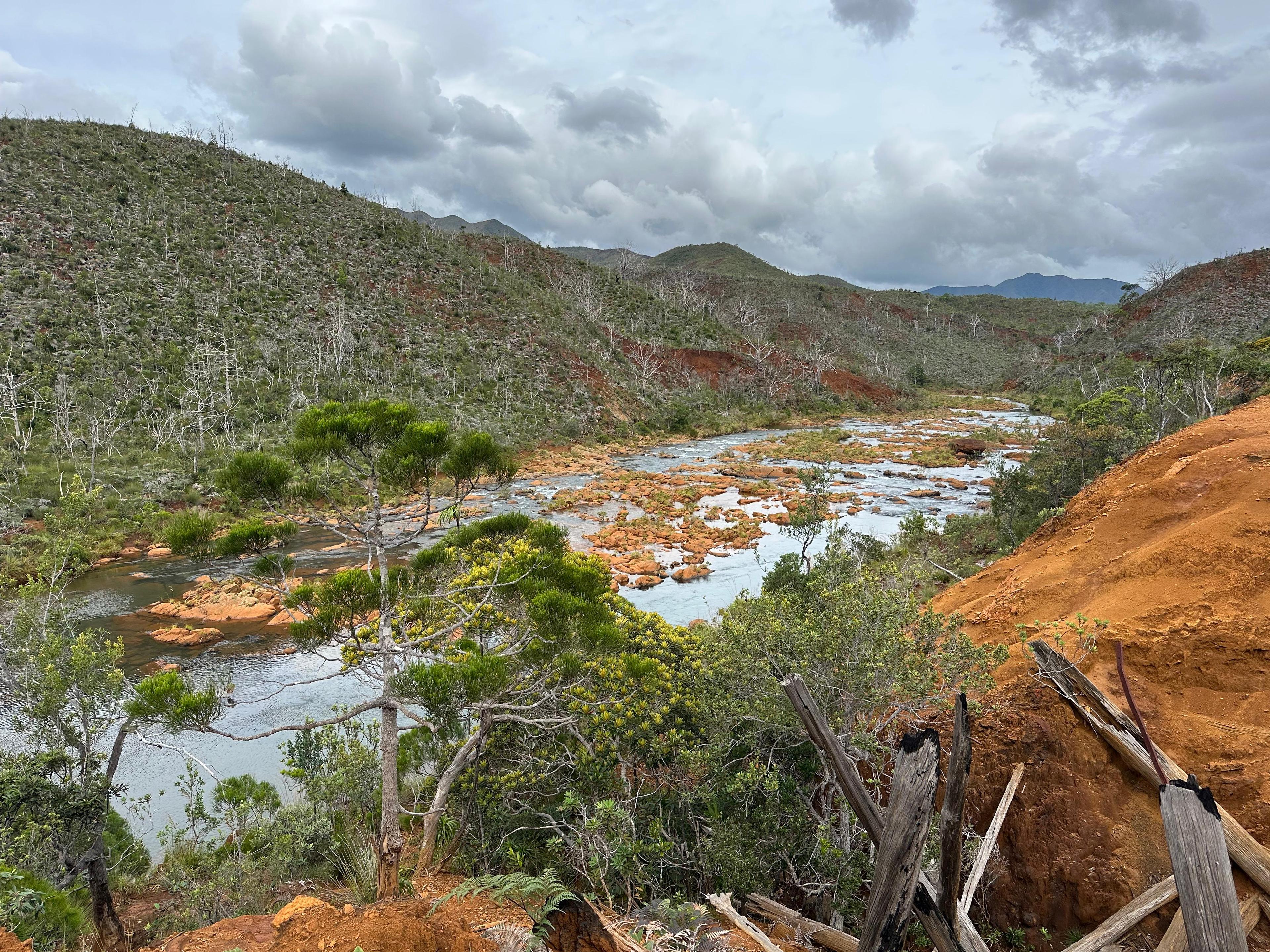 Zone humide sud.jpeg