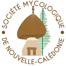 société mycologique nouvelle calédonie