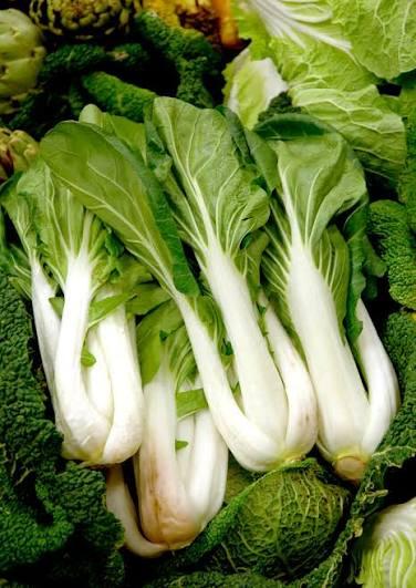CHOU DE CHINE